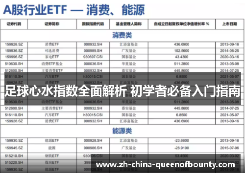 足球心水指数全面解析 初学者必备入门指南 足球心水指数全面解析 初学者必备入门指南